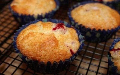 Cranberry Muffin